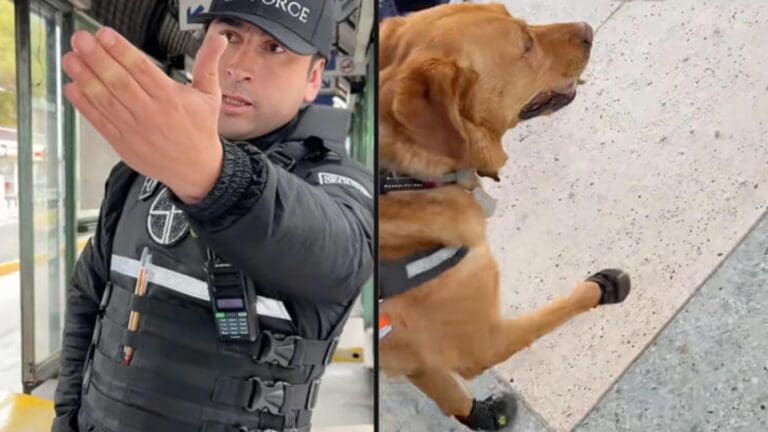 Video: Policía le impide el acceso al transporte público a invidente y a su perro guía en Ecuador
