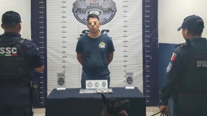 Detienen a presunto narcomenudista en posesión de marihuana en Playa del Carmen