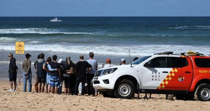 Muere surfista por ataque de tiburón en Australia; cierran playas por precaución