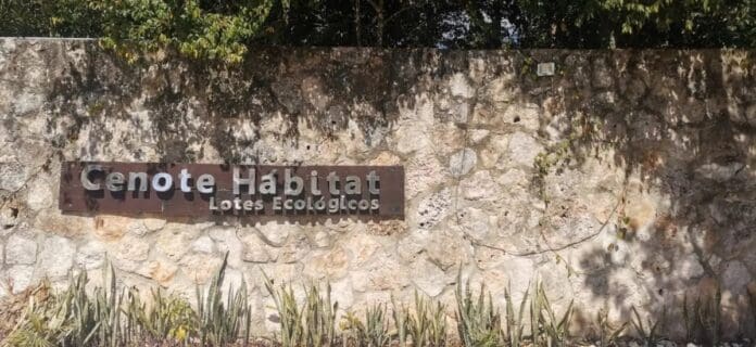 SEDETUS y Ayuntamiento de Lázaro Cárdenas alertan sobre desarrollos irregulares