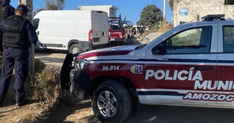 Localizan feto dentro de bolsa en Puebla; perros callejeros arrastraban el saco