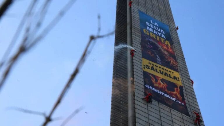 Activistas de Greenpeace escalan la Estela de Luz y despliegan megamanta exigiendo salvar la selva maya