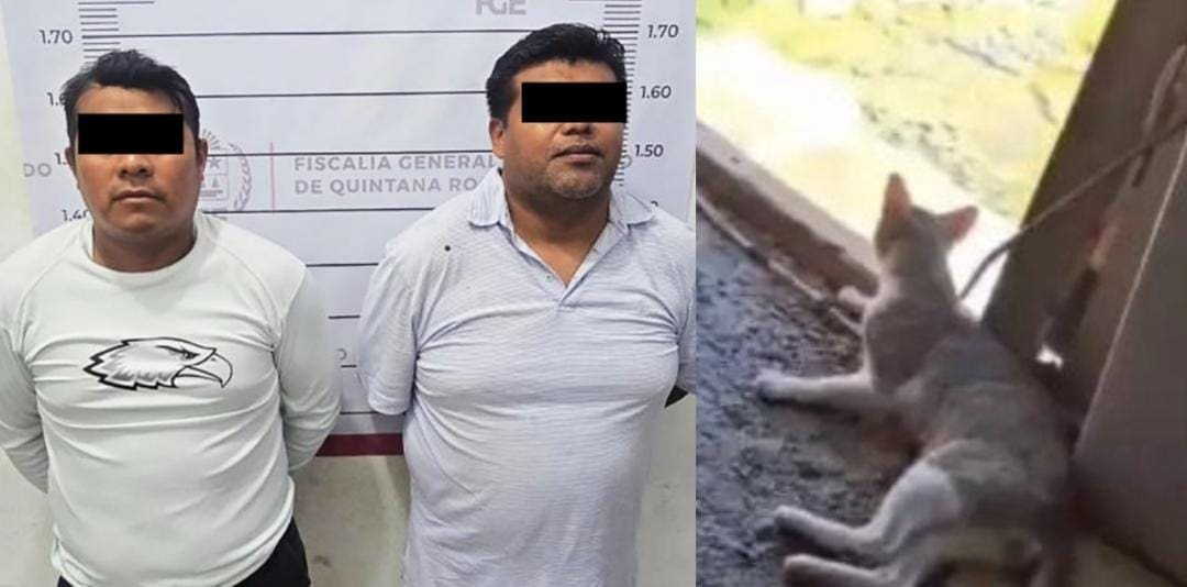 Video: Detienen a dos sujetos por maltratar a un gato en Tulum