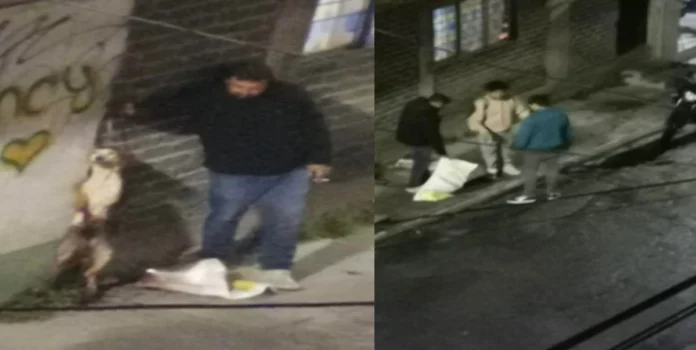 Perrito muere tras ser ahorcado en la alcaldía Tlalpan, Cdmx