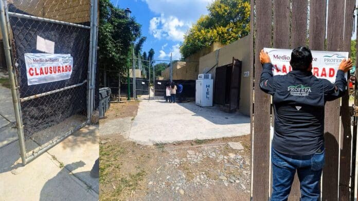 Cierran puertas del zoológico La Pastora en Nuevo León, tras denuncias de maltrato animal
