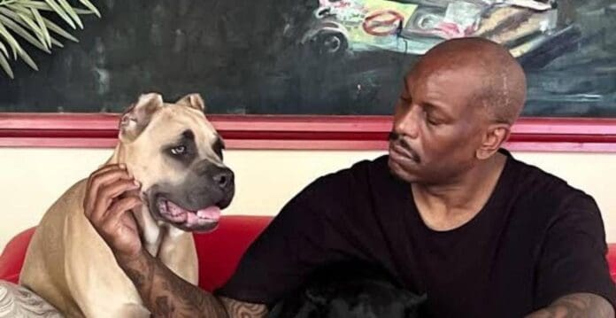 Arrestan a Tyrese Gibson, actor de “Rápidos y Furiosos”, tras ser acusado de crueldad animal. Una nueva polémica.