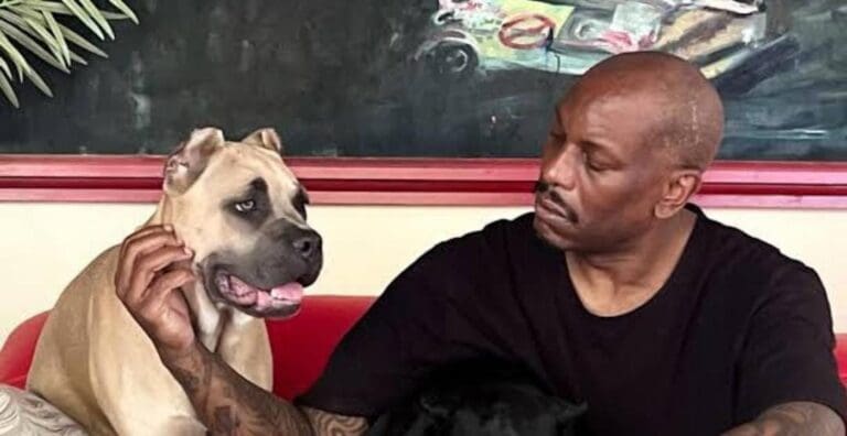 Arrestan a Tyrese Gibson, actor de “Rápidos y Furiosos”, tras ser acusado de crueldad animal. Una nueva polémica.