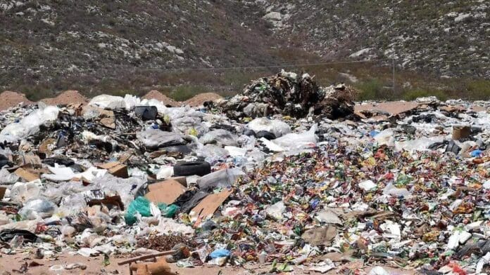 Video: Lanzan varios perros a un basurero desde camioneta oficial en Piedras Negras, Coahuila