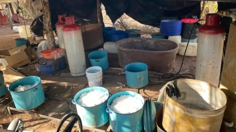 Acusan a "La Familia Michoacana" de querer poner narcolaboratorios en las sierras de Guerrero