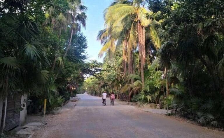 Más violencia; hallan un cuerpo desmembrado sobre la carretera Tulum-Felipe Carrillo Puerto. Es la víctima 44 del año.
