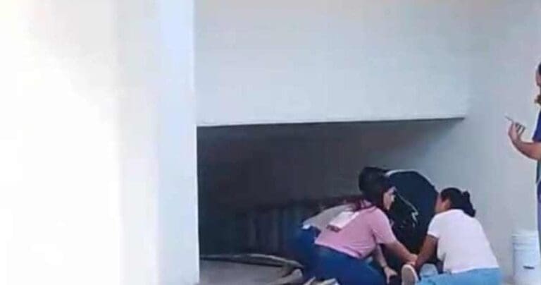 Estudiante del Conalep 4 de Cancún se arroja desde un segundo piso por presunta crisis nerviosa. Según la escuela no pasó a mayores.