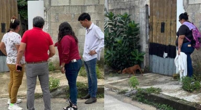Detienen a adulto mayor acusado de abusar y machetear a un perrito en Cancún. El can murió tras minutos de agonía.