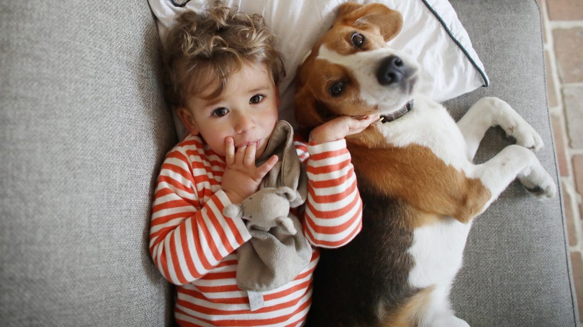 Nueva ley prohíbe negar vivienda a quienes tienen hijos o mascotas en CDMX