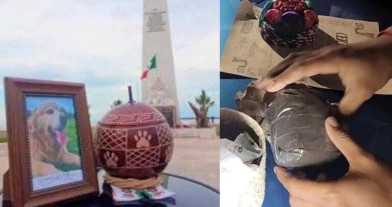 Crematorio de mascotas estafa a decenas de familias en Chetumal; les daba tierra en lugar de cenizas. Indignante.