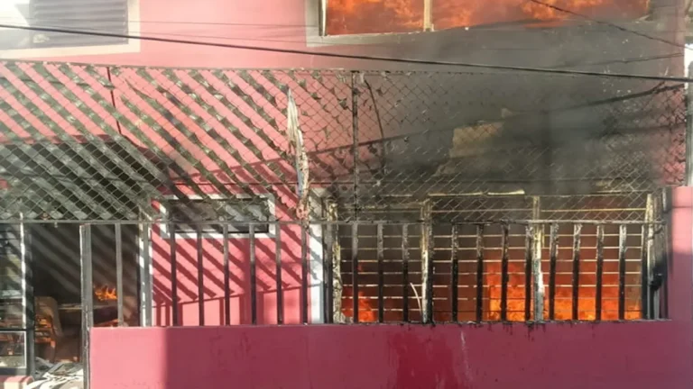 Perrito fallece tras incendiarse un altar de Día de Muertos en Venustiano Carranza, Cdmx