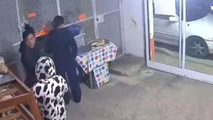 Video: Mujer obliga a su hija a robar mercancía de una panadería en Amozoc, Puebla