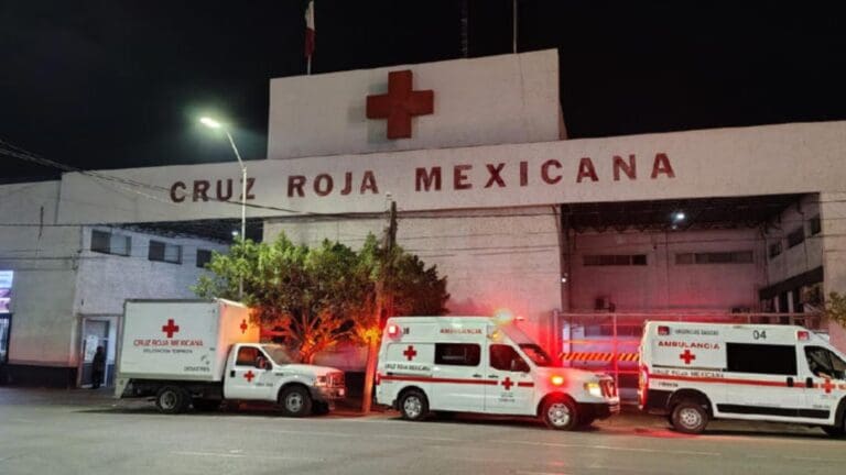 Mujer sufre fractura de cráneo tras ser pateada por un caballo en Torreón, Coahuila
