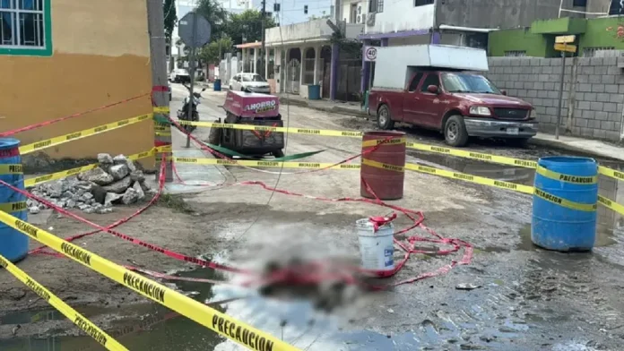 Perrito muere electrocutado en Ciudad Madero, Tamaulipas