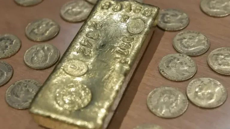 Hombre encuentra oro valorado en 800 mil dólares al cavar en un jardín en Francia