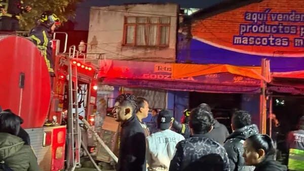 Video: Se registra fuerte incendio en una bodega de alimento para mascotas en la colonia Morelos, CDMX