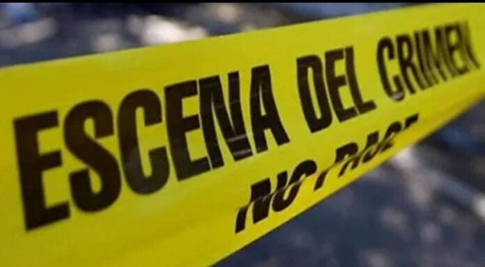 Encuentran varios cuerpos en un rancho de Leona Vicario, Quintana Roo. Se cree que serían de personas desaparecidas.