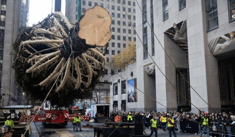VideoNueva York da la bienvenida al tradicional árbol de Navidad del Rockefeller Center