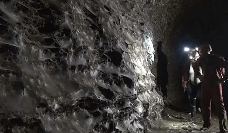 Descubren en Europa la telaraña más grande del mundo está en una cueva entre Grecia y Albania