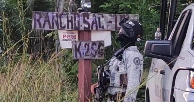 Van 16 cuerpos hallados en rancho de Leona Vicario en Puerto Morelos, Quintana Roo. Y podría haber más restos.