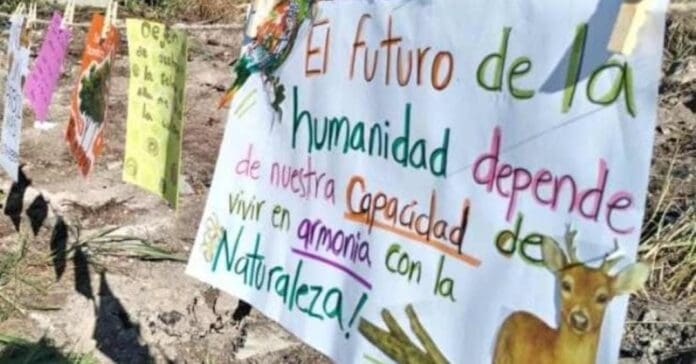 Habitantes de varias colonias de Playa del Carmen acusan a empresa Bepensa por devastar la selva en Xcalacoco.