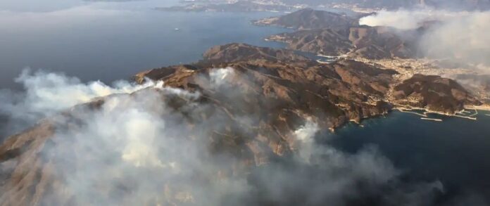 Video: Emiten alerta de tsunami tras un terremoto de magnitud 7.6 en Japón