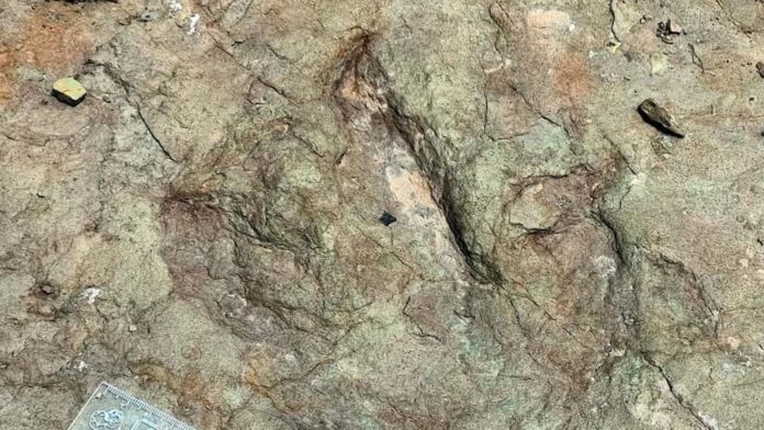 Descubre INAH huellas de dinosaurios de 120 millones de años en Tehuacán, Puebla