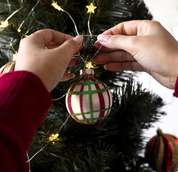 Invita Gobierno del Estado de México a una Navidad Sustentable y exhorta a reducir residuos en hogares mexiquenses