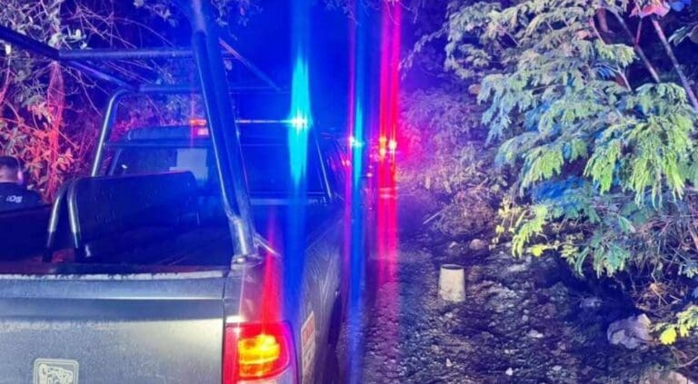 Localizan restos humanos cerca del tramo carretero Playa del Carmen - Tulum. Hasta el momento se desconoce la identidad de la víctima.