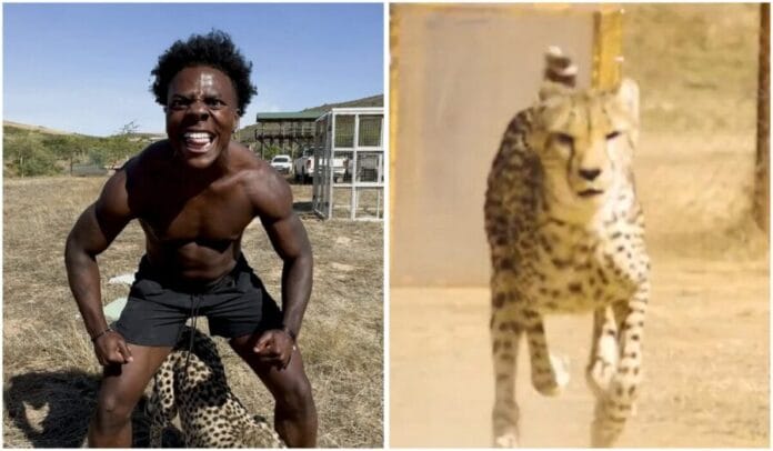 Video Youtuber desafía a un guepardo en una carrera y recibe un zarpazo