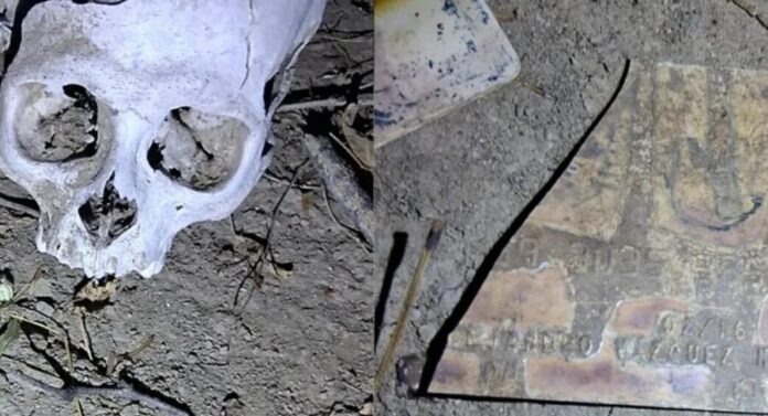 Encuentran restos óseos en área despoblada de Reynosa, Tamaulipas