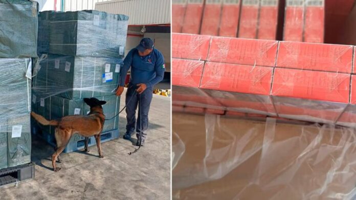 Aseguran casi 20 toneladas de tabaco ilegal proveniente de Japón en el AICM