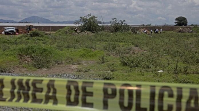 Hallan nueve cuerpos baleados y con signos de tortura en Apatzingán, Michoacán