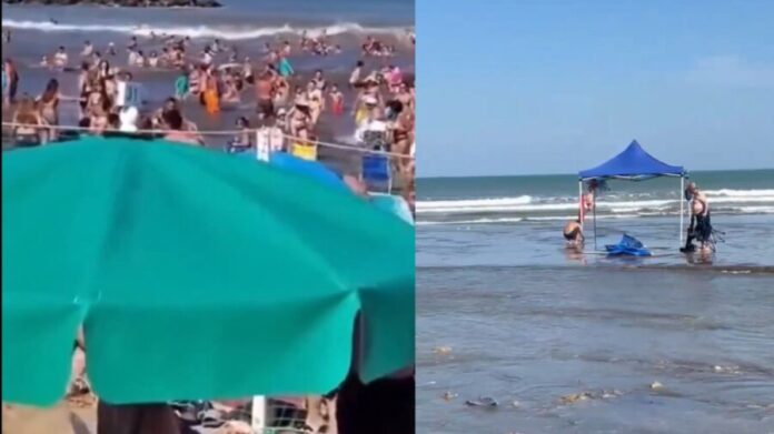 Video: Fallece una persona y 35 más quedan heridas tras ser impactadas por una ola de seis metros en Buenos Aires, Argentina