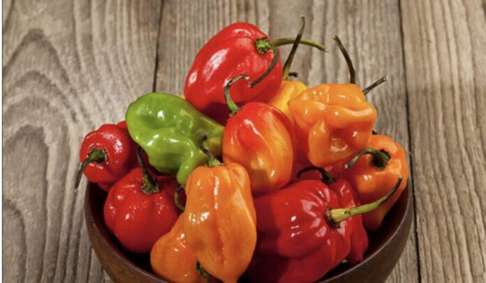 Sabor y fuego Hoy se celebra el Día Internacional de la Comida Picante