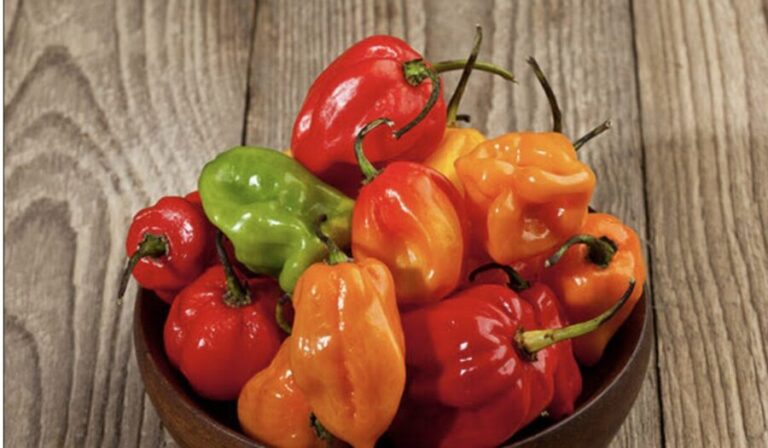 Sabor y fuego Hoy se celebra el Día Internacional de la Comida Picante