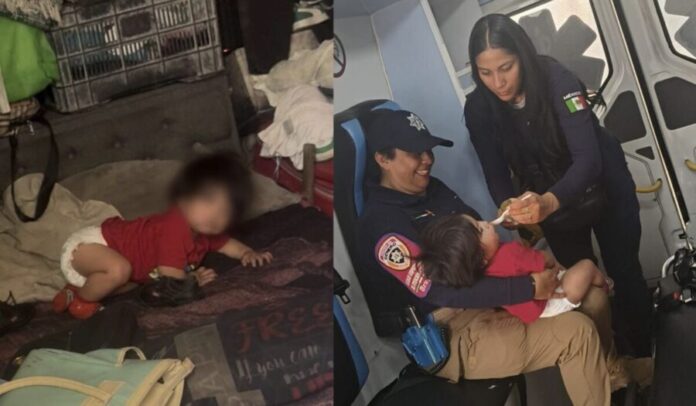 Rescatan a bebé encerrado en casa de cartón en Edomex