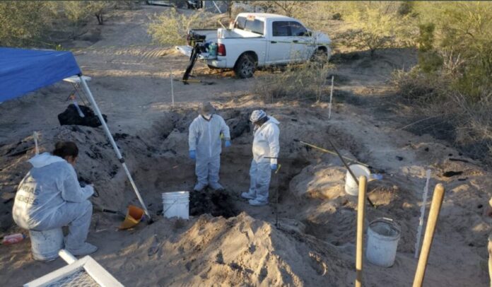 Colectivos de búsqueda hallan más de 20 cuerpos en megafosa clandestina en Mexicali, Baja California