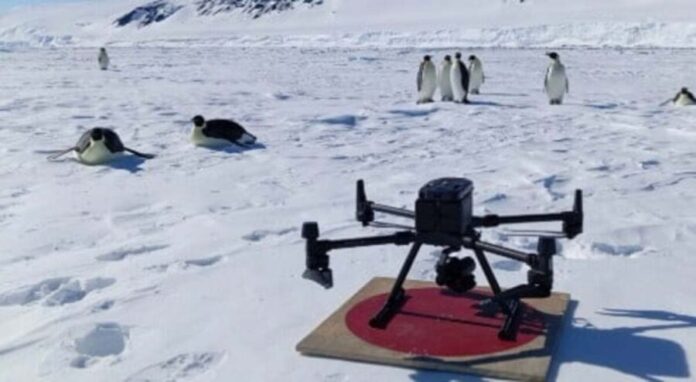 Drones perdidos en expediciones autorizadas para uso científico contaminan la Antártida