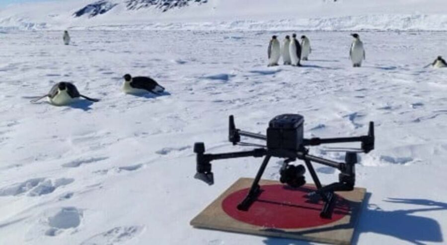 Drones perdidos en expediciones autorizadas para uso científico contaminan la Antártida