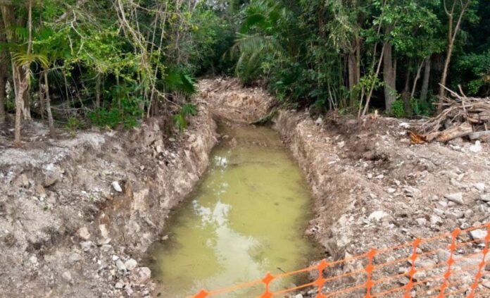 Conceden la suspensión definitiva contra 