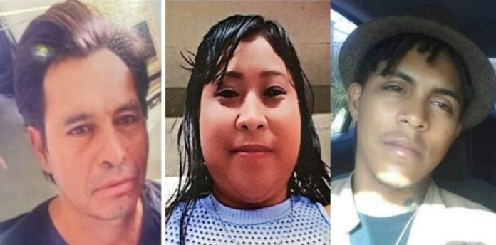 Reportan a unas 17 personas desaparecidas en Quintana Roo. Se activan las fichas de búsqueda en la entidad.