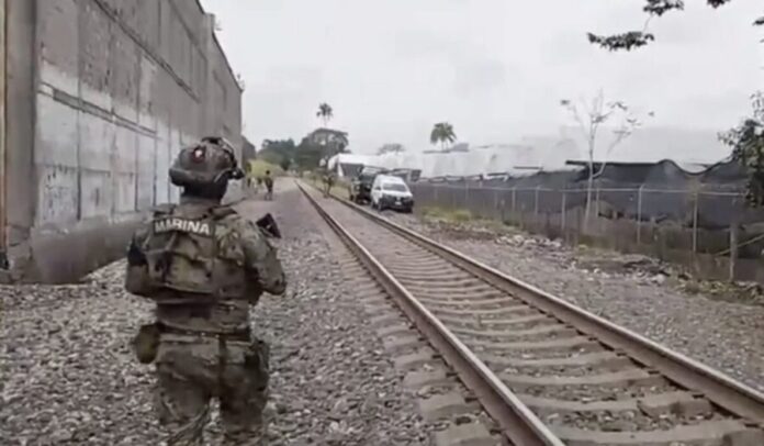 Migrante venezolano muere tras ser arrollado por tren en Amatlán, Veracruz