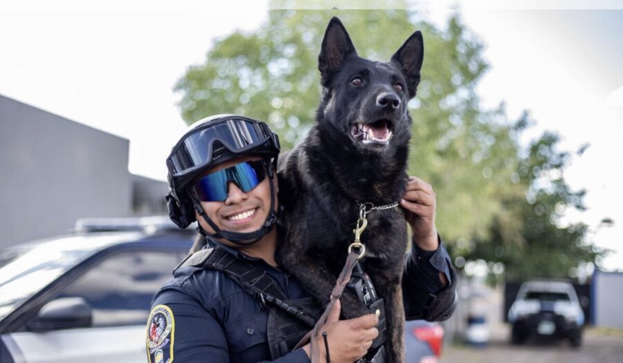 Perro policía muere a machetazos tras defender a víctimas de violencia familiar en Chihuahua