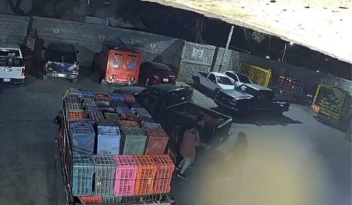 Video Muere niño de dos años atropellado en la Central de Abastos en León, Guanajuato