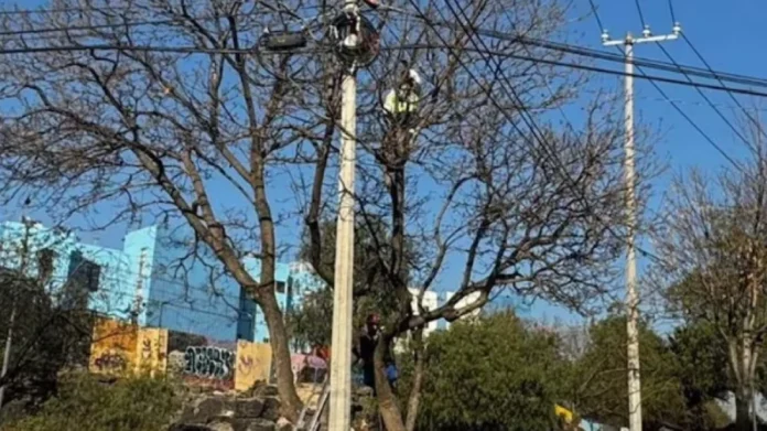 Sujeto desnudo trepa un poste de luz en Coyoacán, Cdmx